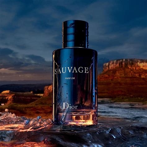 suvage dior men|sauvage cheapest price.